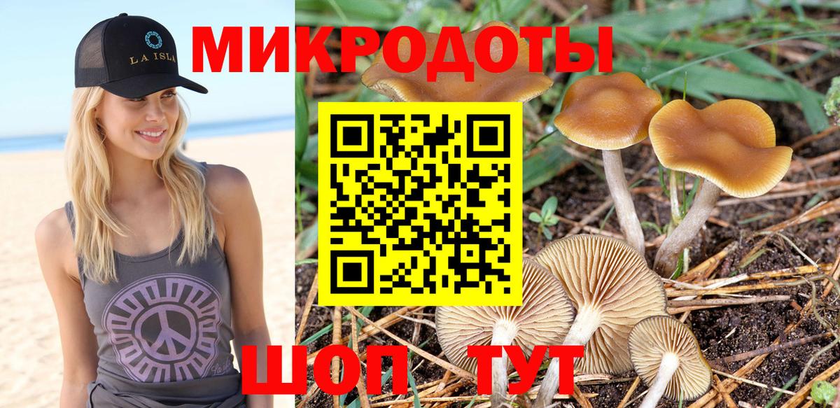 Галлюциногенные грибы MAGIC MUSHROOMS Котлас