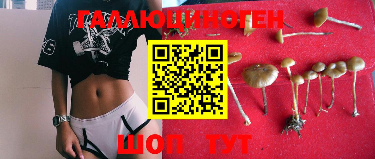 Галлюциногенные грибы Cubensis  Галлюциногенные грибы GOLDEN TEACHER  Котлас  Вход с VPN 